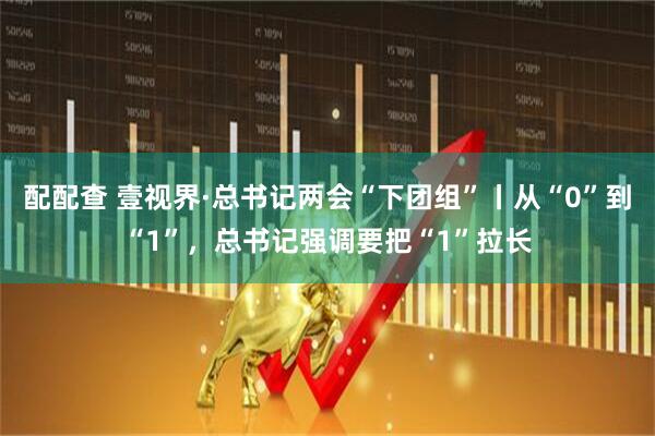 配配查 壹视界·总书记两会“下团组”丨从“0”到“1”，总书记强调要把“1”拉长