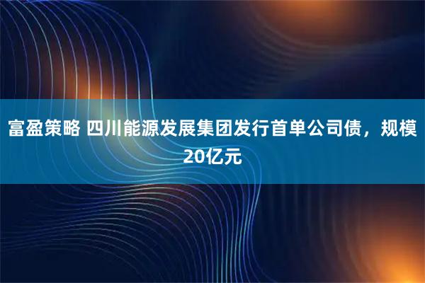 富盈策略 四川能源发展集团发行首单公司债，规模20亿元