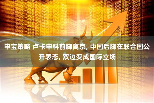 申宝策略 卢卡申科前脚离京, 中国后脚在联合国公开表态, 双边变成国际立场